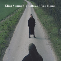 Eliot Sumner - I Followed You Home