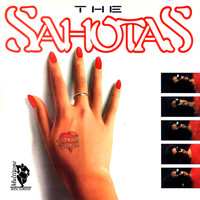 The Sahotas - Are You Feeling