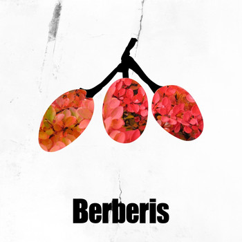 Barni Granados - The Silence EP