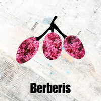 Vanleer - Obsidian EP