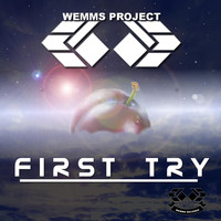 Wemms Project - First Try