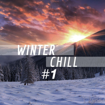 Various Artists - Winter Chill #1