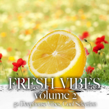 Various Artists - Fresh Vibes, Vol. 2