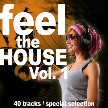 Various Artists - Feel the House
