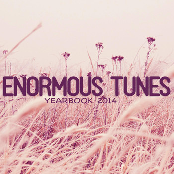 Various Artists - Enormous Tunes - Yearbook 2014