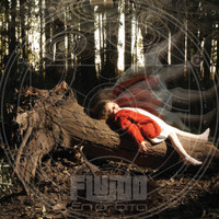 Fluido - En Orbita