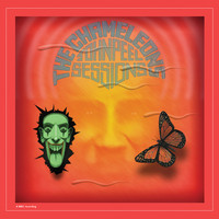 The Chameleons - John Peel Sessions (2014 Remaster)