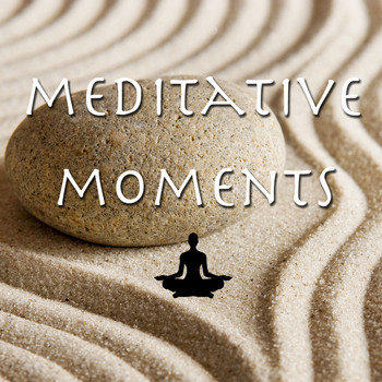 The Visions - Meditative Moments Vol.2