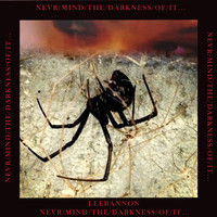 Lee Bannon - Never/Mind/The/Darkness/Of/It...