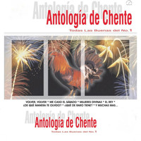 Salvador Navarro - Antología de Chente