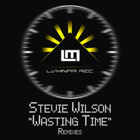 Stevie Wilson - Wasting Time (Remixes)