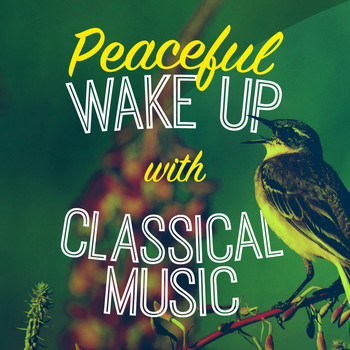 Robert Schumann - Peaceful Wake up with Classical Music