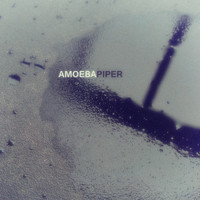 Amoeba - Piper