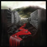 Surgeon - Fjords