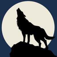 Swami Brahmananda - Howling At the Moon