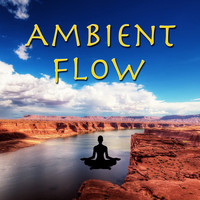 The Sleepers - Ambient Flow Vol.2