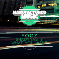 YOGZ - Shady Nasty + What You Want