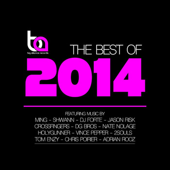 Various Artists - The Best Of Big Alliance 2014