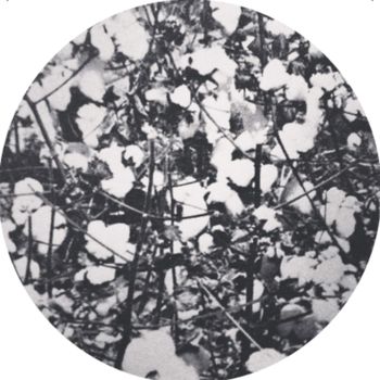 Homework - WOLFEP027