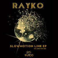 Rayko - Slow Motion Link EP