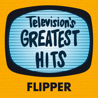 Television's Greatest Hits Band - Flipper