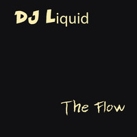 DJ Liquid - The Flow