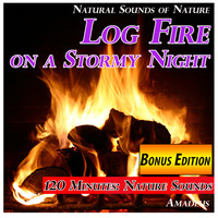 Amadeus - Log Fire on a Stormy Night: Natural Sounds of Nature: Bonus Edition