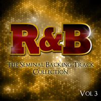 The Professionals - R&B Songs - The Seminal Backing Track Collection, Vol. 3