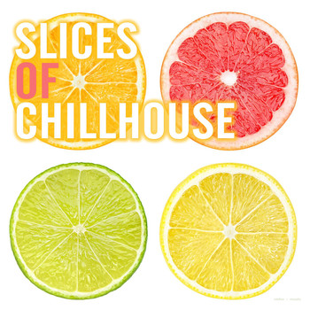 Various Artists - Slices of Chillhouse