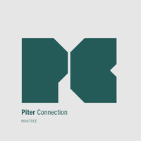 Piter - Connection