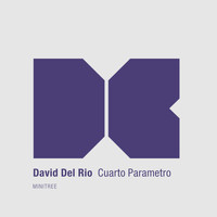 David Del Rio - Cuarto Parametro