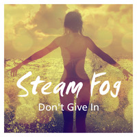Steam Fog - Don't Give In (Original Mix)