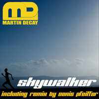 Martin Decay - Skywalker 2015