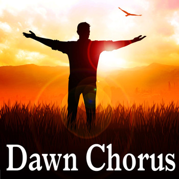 Nature Sound - Dawn Chorus