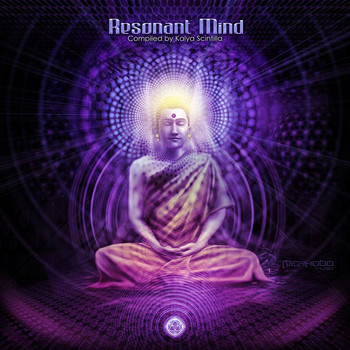 Various Artists - Resonant Mind