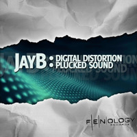 JayB - Digital Distortion / Plucked Sound