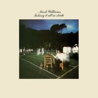 Mark Williams - Taking It All In Stride