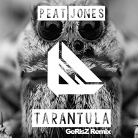 Peat Jones - Tarantula (GeRisZ Remix)