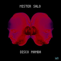 Mister Salo - Disco Mamba (Original Mix)