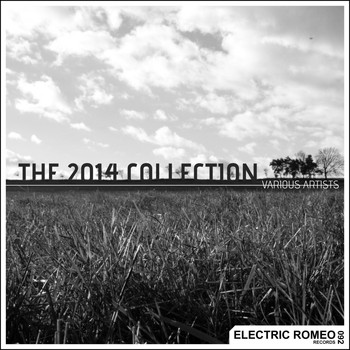 Various Artists - The 2014 Collection