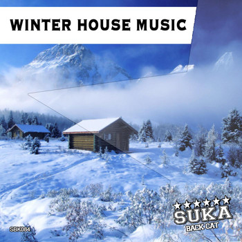 Various Artists - Winter House Music