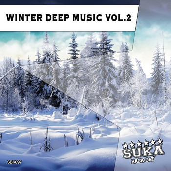 Various Artists - Winter Deep Music, Vol. 2