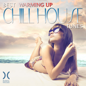 Various Artists - Best Warming up Chillhouse Tunes
