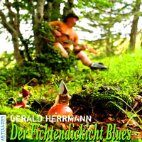 Gerald Herrmann - Fichtendickicht-Blues