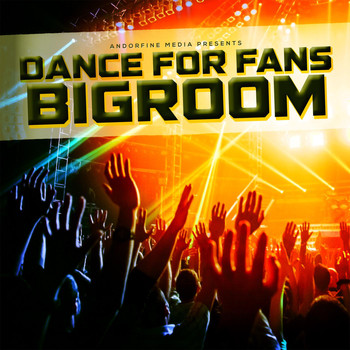 Various Artists - Dance for Fans Bigroom