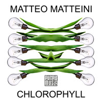 Matteo Matteini - Chlorophyll