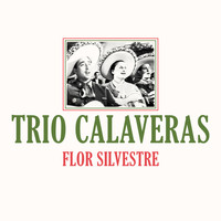 Trio Calaveras - Flor Silvestre