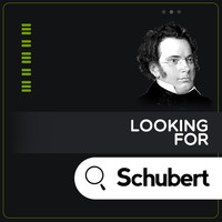 Franz Schubert - Looking for Schubert