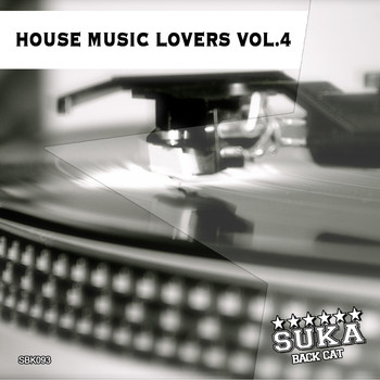 Various Artists - House Music Lovers Vol. 4
