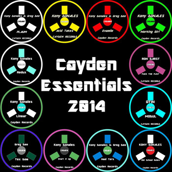 Various Artists - Cayden Essentials 2014